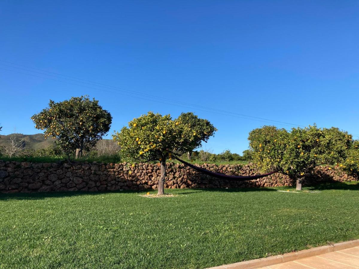 Quinta Da Luz - A Luxury Boutique B&B Silves Buitenkant foto